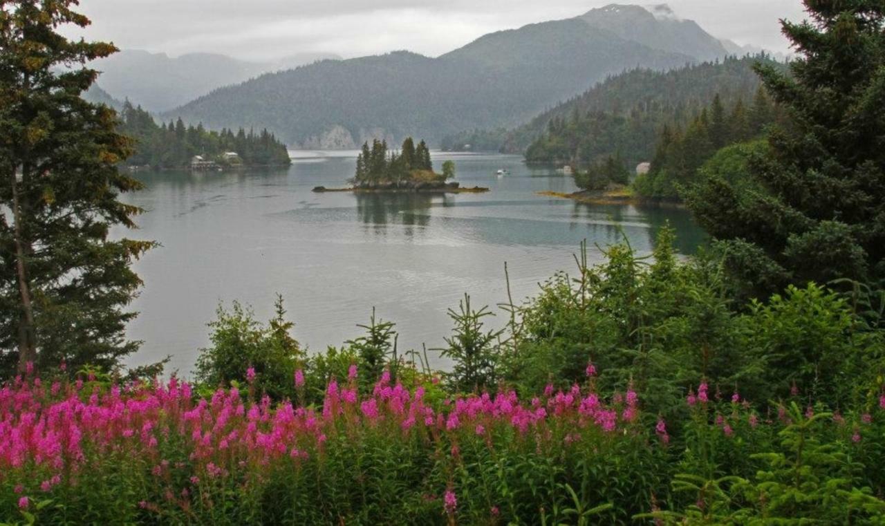 Halibut Cove Stillpoint Lodge - All-Inclusive מראה חיצוני תמונה